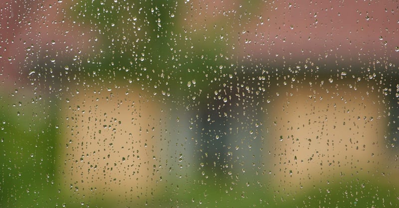 Wet droplets forming on a window